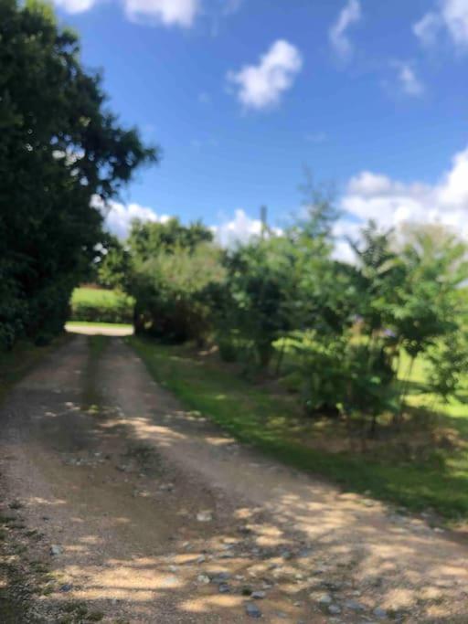 Apartmán Terrasse, Campagne Et Mer Troguery Exteriér fotografie